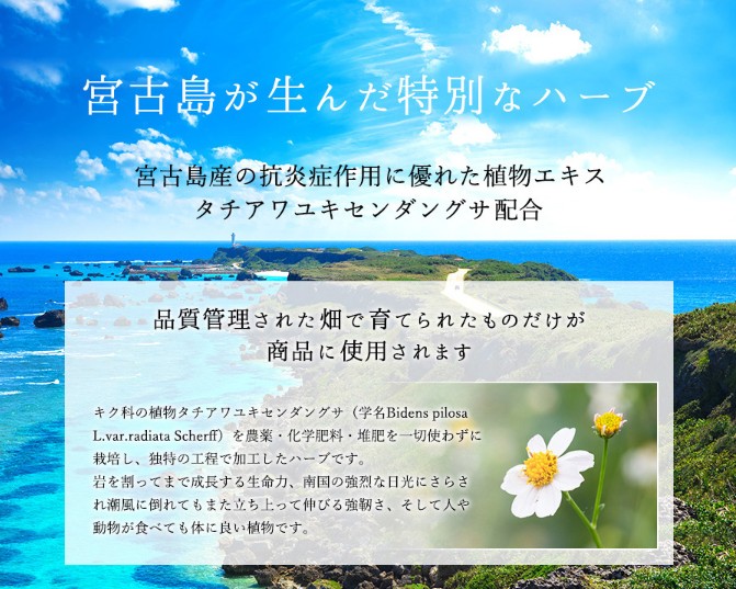 STAFFおすすめ「ボタニカルミストシャワーフォレストSpa」SuiSavon-首里石鹸-オキナワハナサキマルシェギャラリーショップにて販売開始！