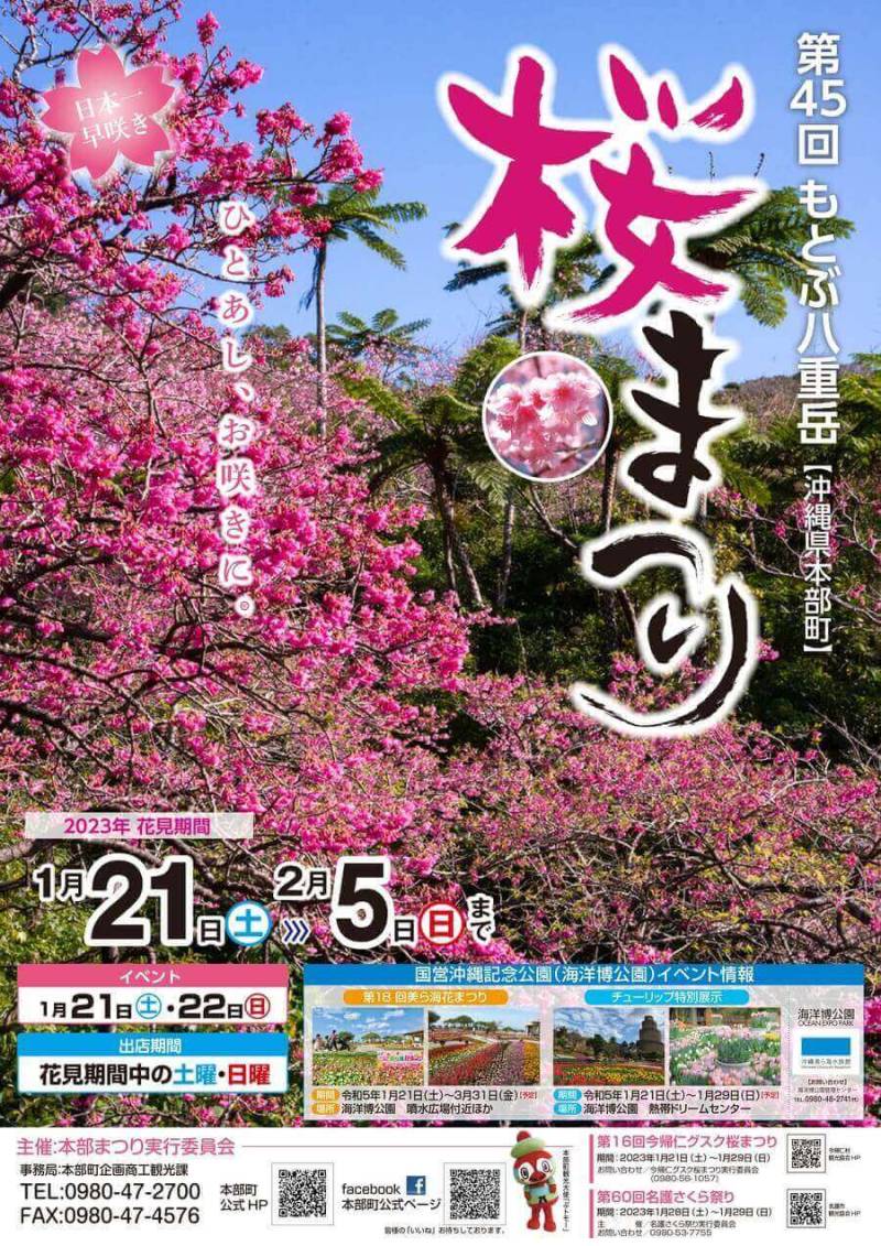 【イベント情報】もとぶ八重岳さくらまつり/その他イベント情報