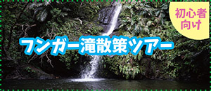 フンガー滝散策ツアー 初心者向け