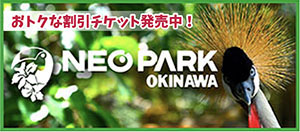 NEO PARK OKINAWA