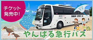 やんばる急行バス