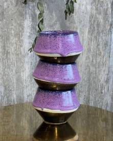 春を告げるAlba SAKURA