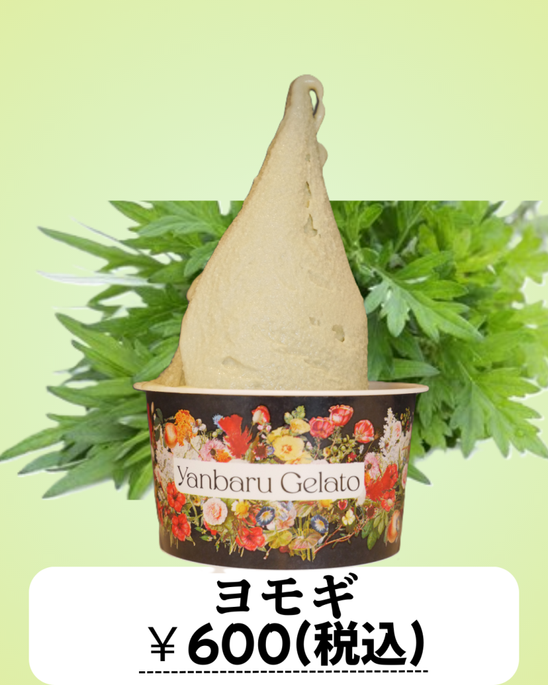 和風コレクション販売中