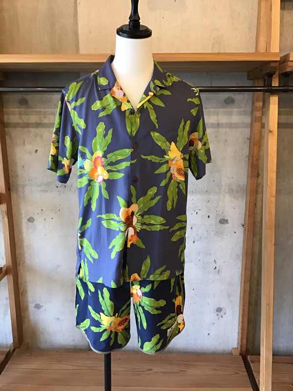 Patagonia 新商品入荷 pataloha