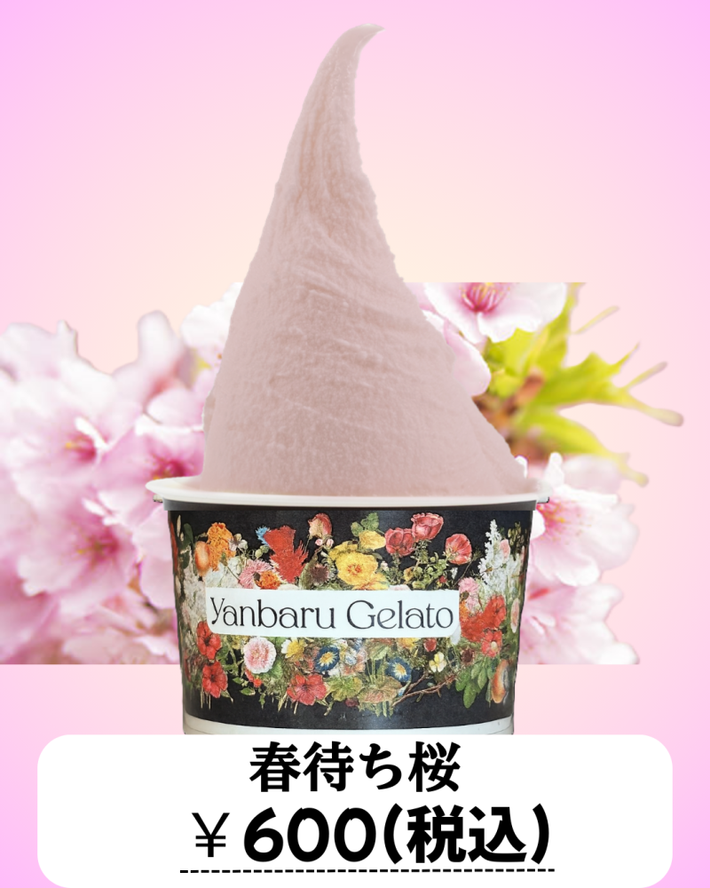 和風コレクション販売中